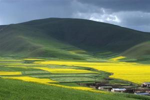 门源回族自治县机动车驾驶员培训概览